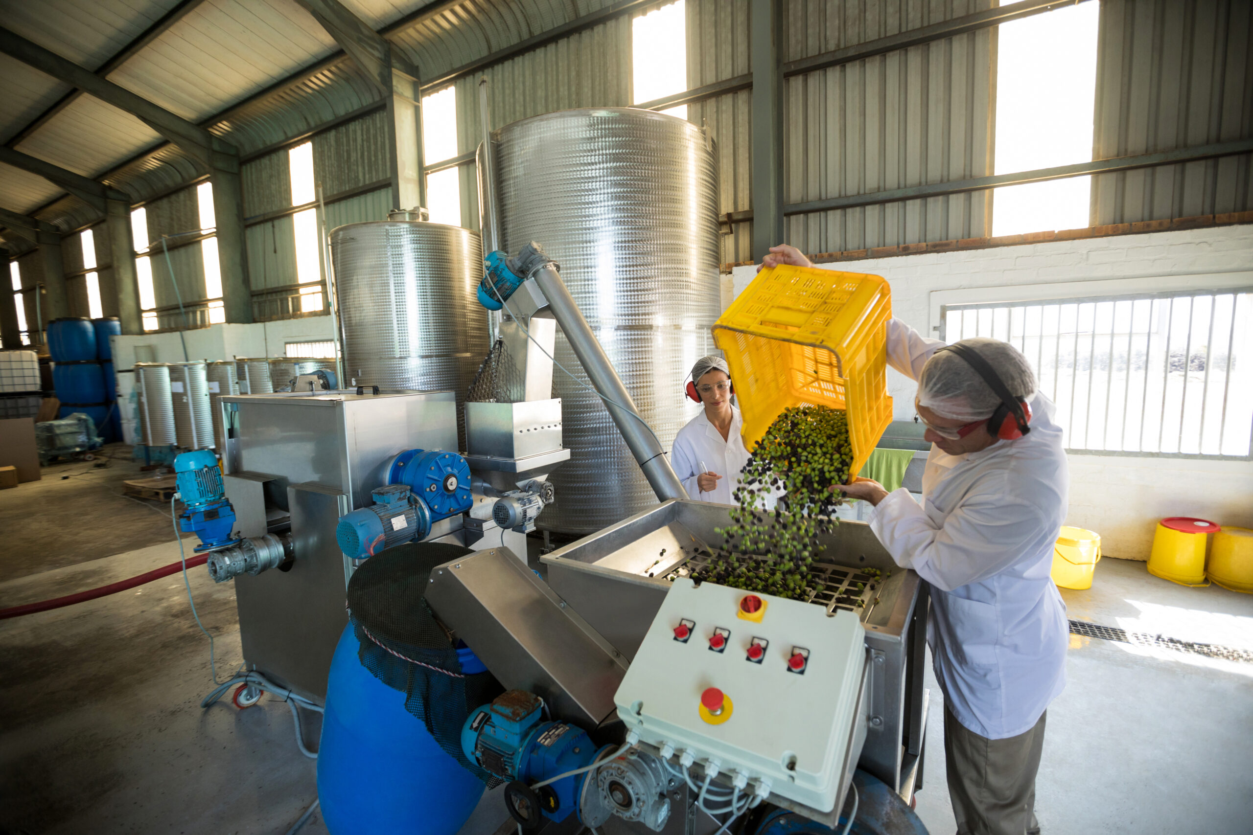 Workers working together near production line
